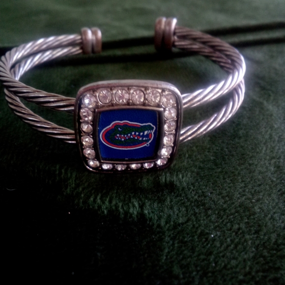 UF Gators Silver Twisted Bracelet with Logo And Crystal Diamonds Sterling Plated - Picture 7 of 8